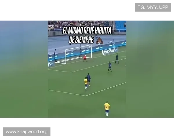 耶佩斯告别赛精彩回顾与感人时刻